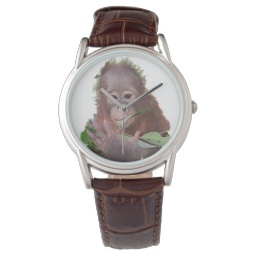 Orangutan Watch