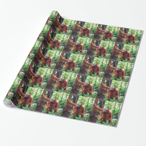 Orangutan Wrapping Paper