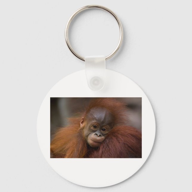 Orangutang baby keychain (Front)