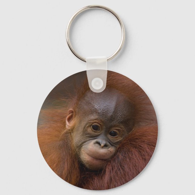 Orangutang baby keychain (Front)