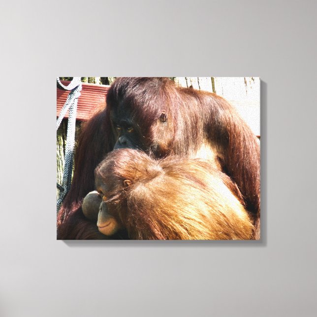 ORANGUTANS CANVAS PRINT (Front)