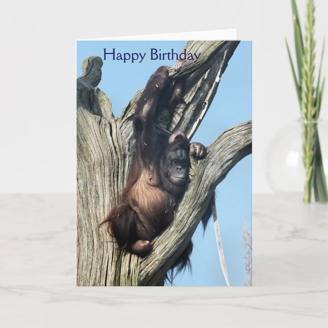 ORANGUTANS CARD (Front)