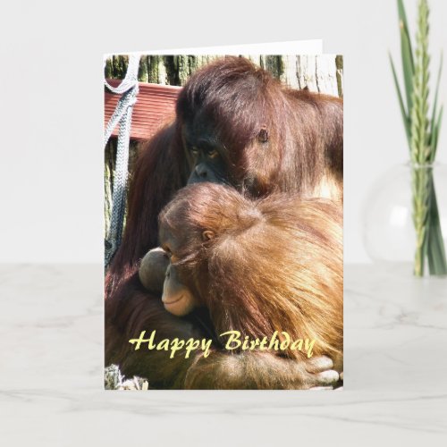 ORANGUTANS CARD