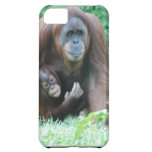 Orangutans Case For iPhone 5C