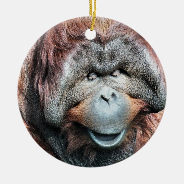 ORANGUTANS CERAMIC ORNAMENT (Front)