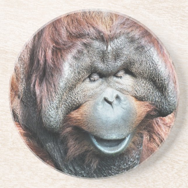ORANGUTANS DRINK COASTER (Front)