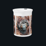 ORANGUTANS DRINK PITCHER<br><div class="desc">A beautiful photographic dedsign of a male orangutan.</div>