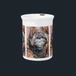 ORANGUTANS DRINK PITCHER<br><div class="desc">A beautiful photographic dedsign of a male orangutan.</div>