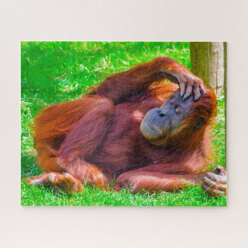 Orangutans Jigsaw Puzzle