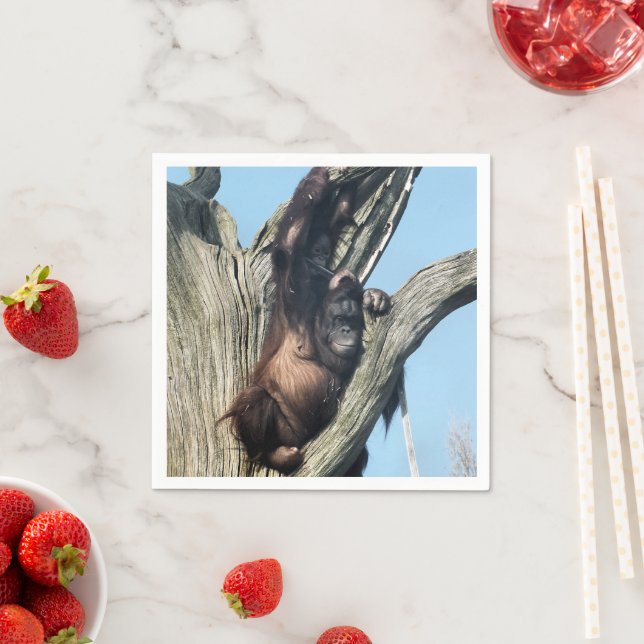 ORANGUTANS PAPER NAPKINS (Insitu)