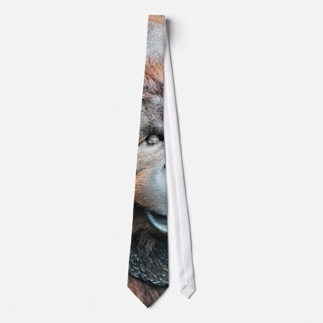 ORANGUTANS TIE (Front)
