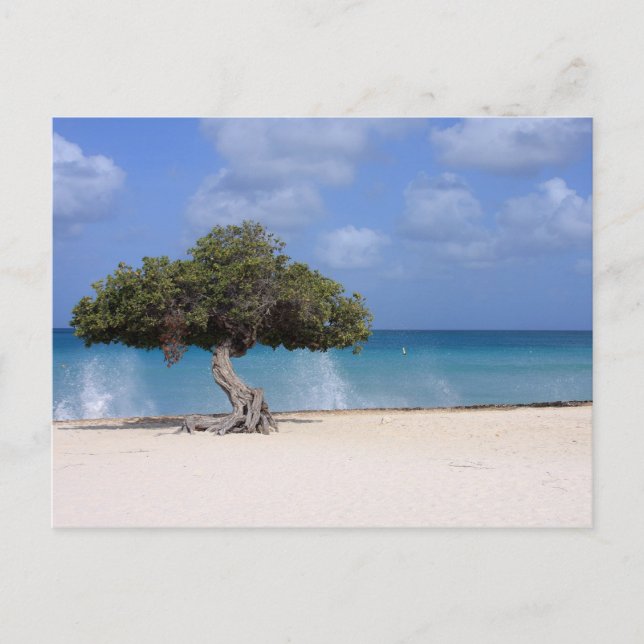 oranjestad postcard (Front)