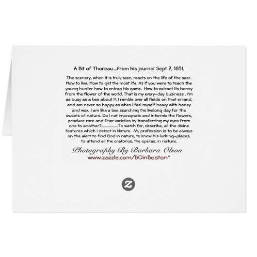 Oratorios, the operas, in nature. (Back Horizontal)