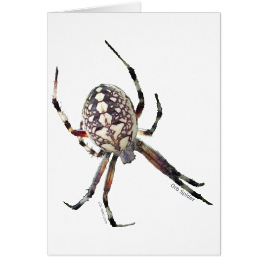 Orb Spider Card