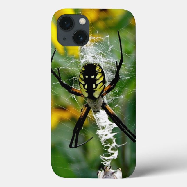 Orb Spider in Web Case-Mate iPhone Case (Back)