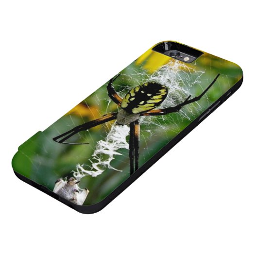 Orb Spider in Web iPhone 6 Case