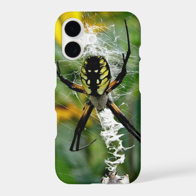 Orb Spider in Web Iphone Case (Back)