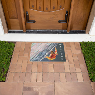 Orb Spider on Web Doormat