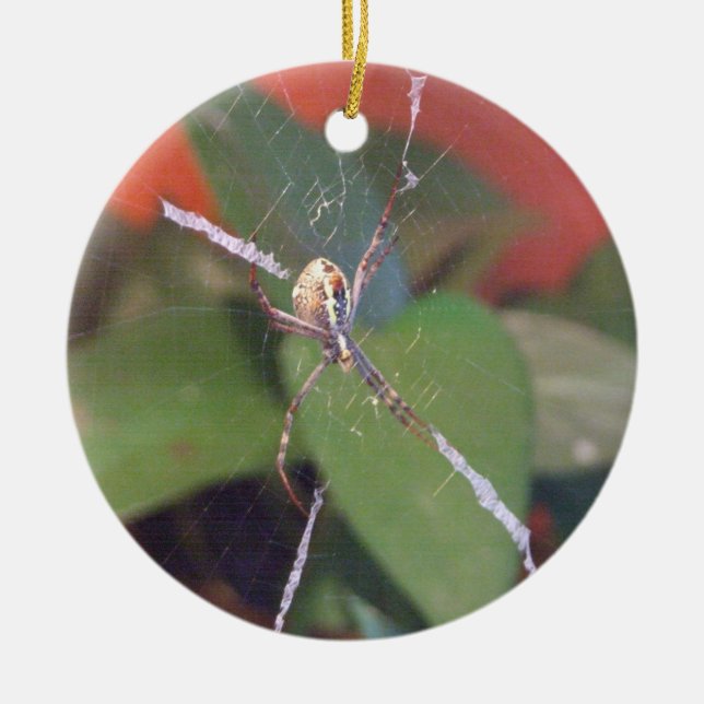 Orb Spider Ornament (Front)