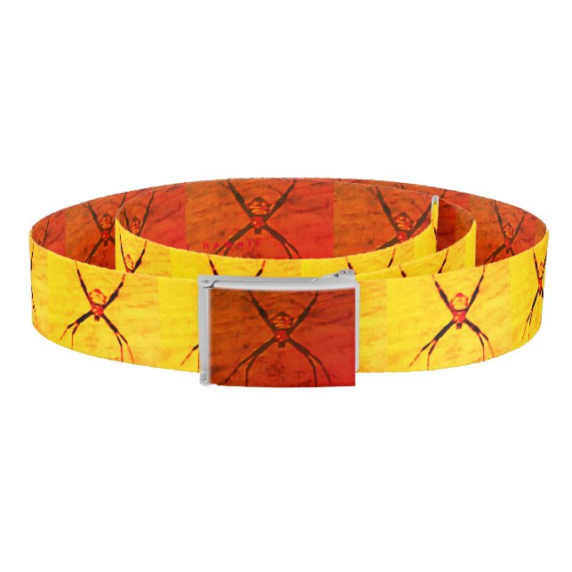 Orb Weaver, Belt (Coil)