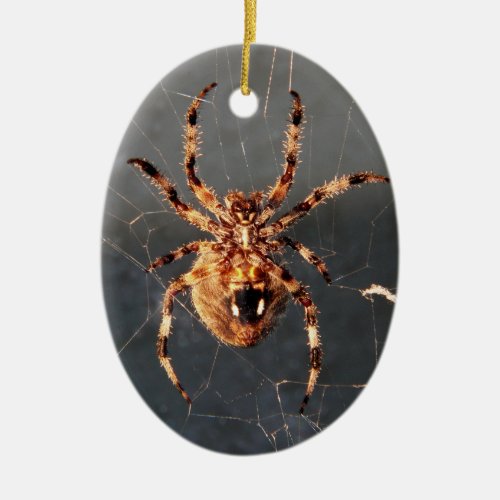 Orb Weaver Spider Ceramic Ornament