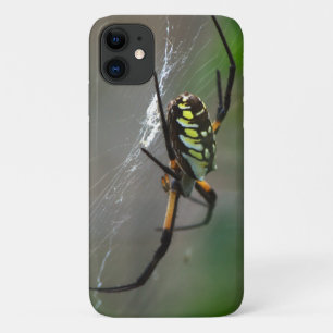 Orb Weaver Spider Close Up Phone Case