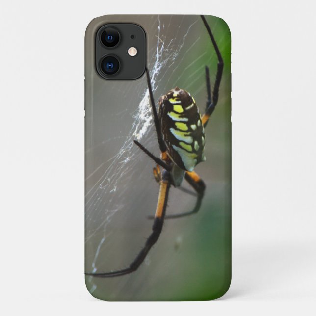 Orb Weaver Spider Close Up Phone Case (Back)