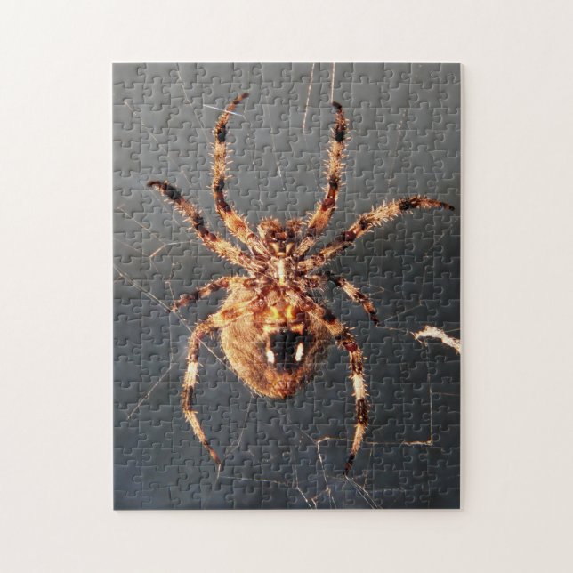 Orb Weaver Spider Jigsaw Puzzle (Vertical)