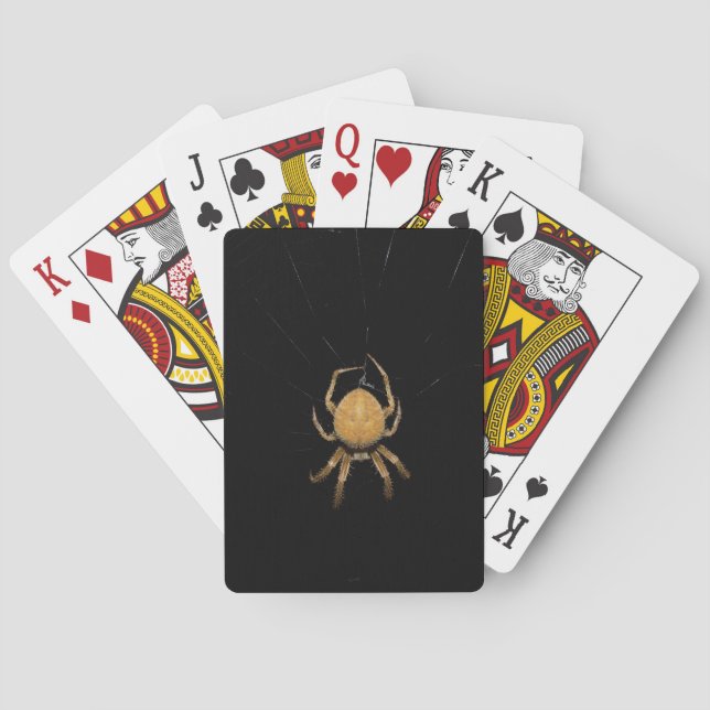 Orb Weaver Spider Poker Cards (Back)