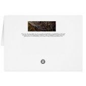 Orb Weaver Web in the Morning Dew Cards (Back Horizontal)