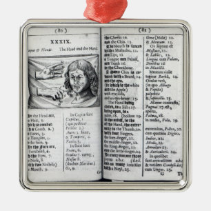 'Orbis Sensualium Pictus' Metal Ornament