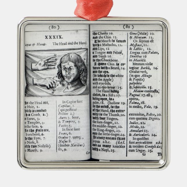 'Orbis Sensualium Pictus' Metal Ornament (Front)