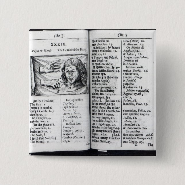 'Orbis Sensualium Pictus' Pinback Button (Front)