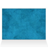 Orca (Inside Horizontal (Top))