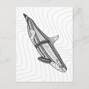 Orca Adult Coloring Postcard