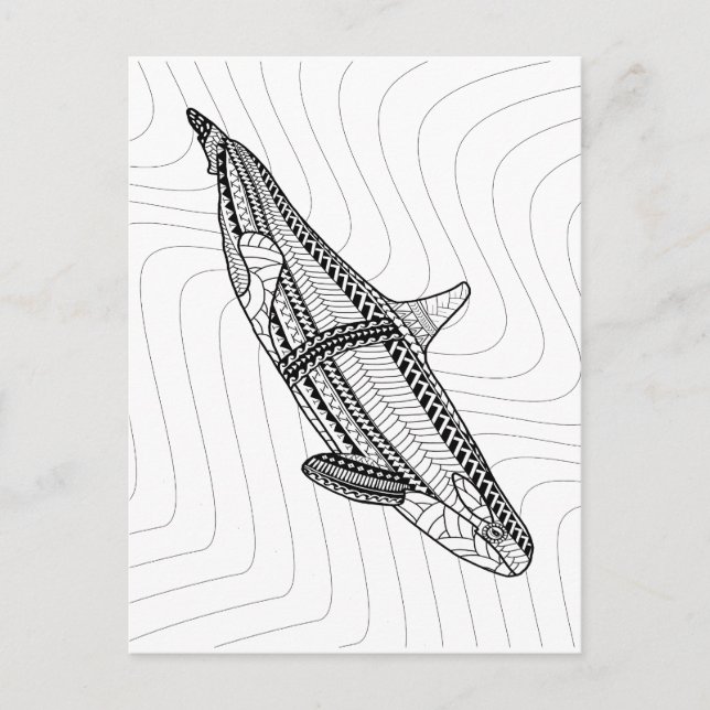 Orca Adult Coloring Postcard (Front)