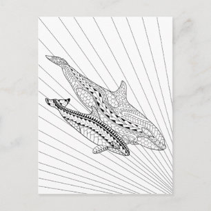 Orca And Baby Adult Coloring Postcard