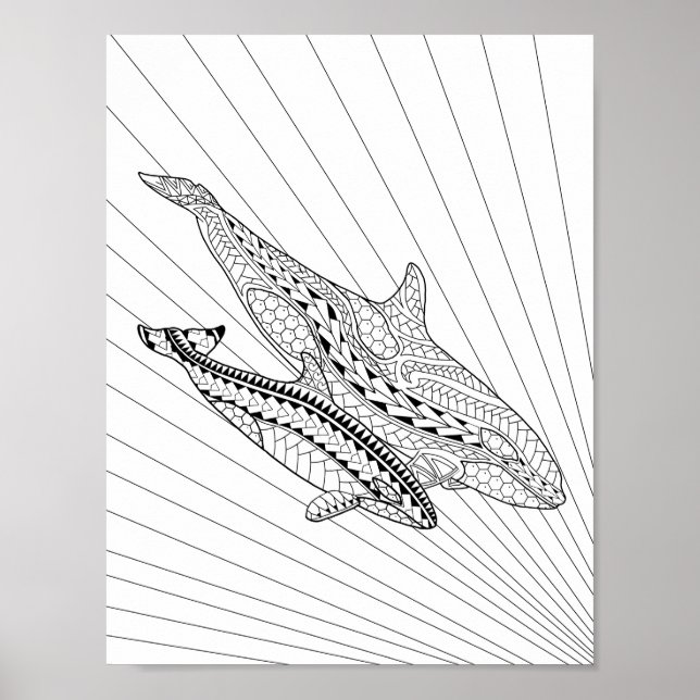 Orca And Baby Adult Coloring Poster (Front)