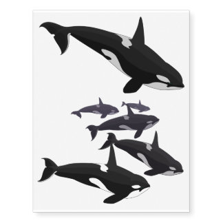 Orca Art Temporary Tattoo Killer Whale Skin Art