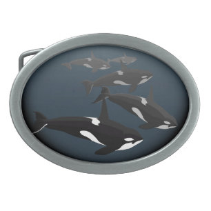 Orca Belt Buckle Killer Whale Art Buckles & Gifts