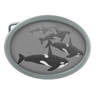 Orca Belt Buckle Killer Whale Art Buckles & Gifts