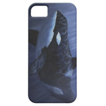Orca Blues -