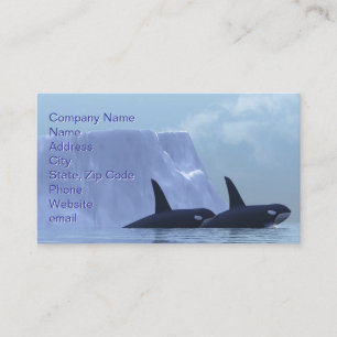 Orca Business Card
