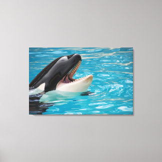 Orca canvas