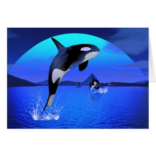 Orca Card (Front Horizontal)