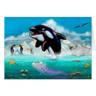 Orca Cards