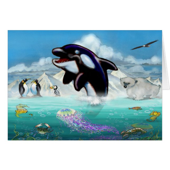 Orca Cards (Front Horizontal)