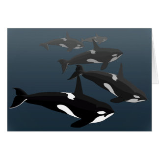 Orca Cards Personalize Killer Whale Art Cards