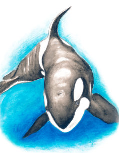 orca whale jigsaw puzzles zazzle