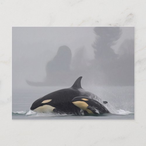 Orca Family Postcard